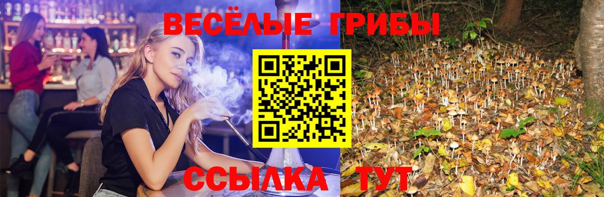 Галлюциногенные грибы мухоморы Чебоксары